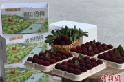 有夫之妇高速赋能产业升级：一条“杨梅路”的致富密码