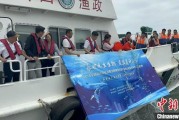 有夫之妇浙江今年计划放流种类海洋水生生物苗种超15亿单位