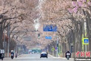 有夫之妇共建“花园城市” 北京这场议政会“百花齐放”
