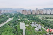 有夫之妇西宁市举办六五环境日主题宣传活动