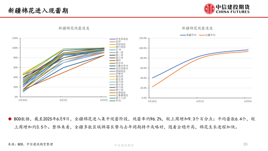 【棉花纺谈】供应端阶段(👽)性缩量 疆棉基差坚挺